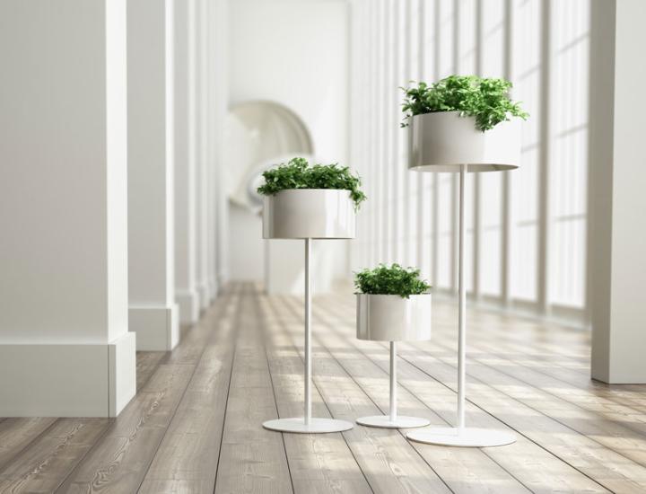 GREEN CLOUD - photo 3