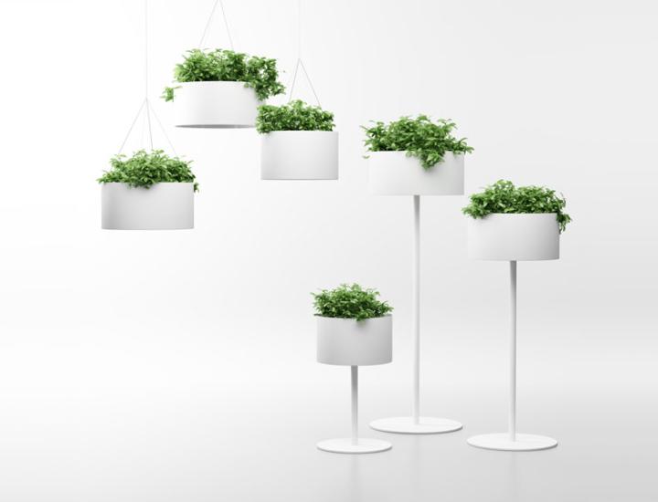 GREEN CLOUD - photo 1