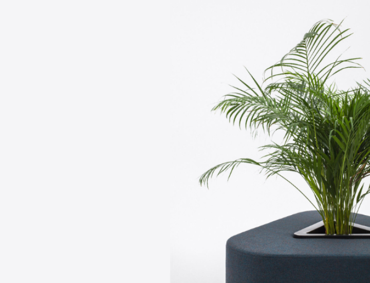 HANA PLANT - photo 2