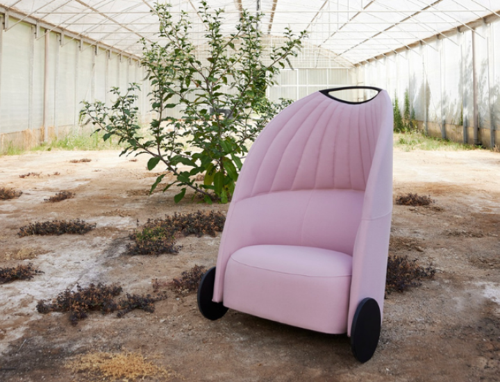 BIGA ACOUSTIQUE - photo 3