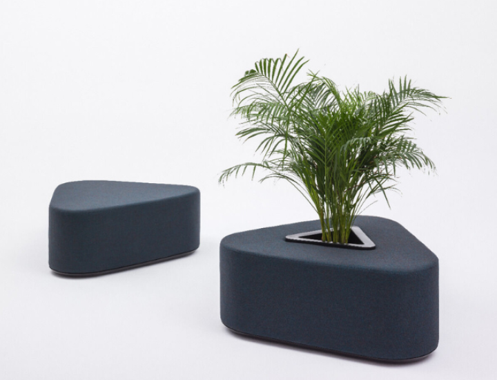 HANA PLANT - photo 1