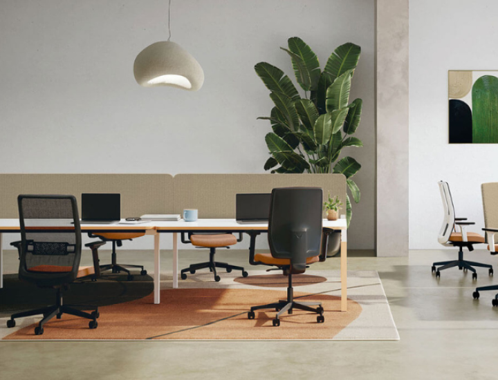 CINETIC BOIS - photo 2